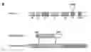 Fig. 01 - Virus like particle with efficient epitope display