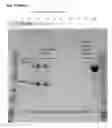 Fig. 06 - Virus like particle with efficient epitope display