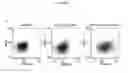 Fig. 02 - NOVEL PLATFORM DNA VACCINE