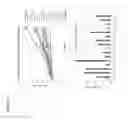 Fig. 12 - Stabilized vancomycin formulations