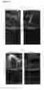 Fig. 03 - NOVEL BIOMOLECULE CONJUGATES AND USES THEREFOR