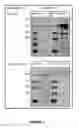 Fig. 02 - BLOOD-BRAIN BARRIER VECTOR COMPOUNDS AND CONJUGATES THEREOF