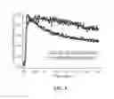 Fig. 07 - Nanoparticles for magnetic resonance imaging applications