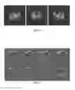 Fig. 08 - Nanoparticles for magnetic resonance imaging applications