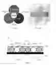 Fig. 02 - METHOD OF PRINTING A TISSUE CONSTRUCT WITH EMBEDDED VASCULATURE