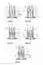 Fig. 09 - Safety device for a pre-filled syringe and an injection device