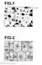Fig. 02 - POROUS HOLLOW FIBER MEMBRANE, METHOD FOR PRODUCING THE SAME, AND FILTRATION METHOD