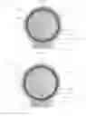 Fig. 35 - Devices and methods for molecular diagnostic testing