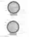 Fig. 37 - Devices and methods for molecular diagnostic testing