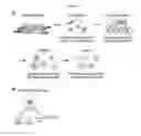 Fig. 02 - Microfluidic analysis of ligand induced cell expression