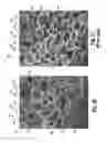 Fig. 07 - Adhesive dispensing system and method