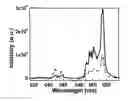 Fig. 01 - Composition with enhanced luminescence