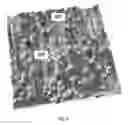 Fig. 04 - Micro-textured surfaces via low pressure rolling