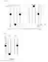 Fig. 02 - Three-dimensional shaping method