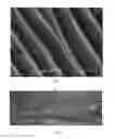 Fig. 02 - Security tag containing a pattern of biological particles