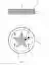 Fig. 06 - Security tag containing a pattern of biological particles