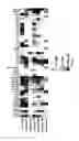 Fig. 09 - Dopamine D2 receptor ligands