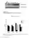 Fig. 02 - HDAC inhibitors and therapeutic methods using the same