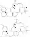 Fig. 151 - Compounds that inhibit MCL-1 protein