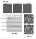 Fig. 07 - Inhibitors of beta integrin-G protein alpha subunit binding interactions