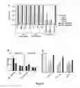 Fig. 02 - METHODS AND COMPOSITIONS FOR ZIKA VIRUS VACCINES