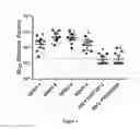 Fig. 05 - METHODS AND COMPOSITIONS FOR ZIKA VIRUS VACCINES