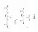 Fig. 06 - D-peptide inhibitors of HIV entry and methods of use