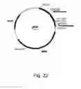 Fig. 23 - Polypeptides having cellulolytic enhancing activity and nucleic acids encoding same