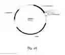Fig. 25 - Polypeptides having cellulolytic enhancing activity and nucleic acids encoding same
