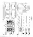 Fig. 08 - Budding yeast with human chromatin