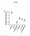 Fig. 02 - Polypeptides and medical uses thereof