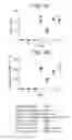 Fig. 09 - Anti-Jagged1 antigen binding proteins