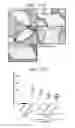 Fig. 28 - Anti-Jagged1 antigen binding proteins