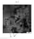 Fig. 05 - Compositions for fabricating durable, low-ice-adhesion coatings