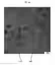 Fig. 11 - Compositions for fabricating durable, low-ice-adhesion coatings