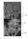 Fig. 14 - Compositions for fabricating durable, low-ice-adhesion coatings