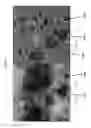 Fig. 15 - Compositions for fabricating durable, low-ice-adhesion coatings