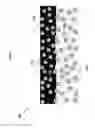 Fig. 02 - Bugphobic and icephobic compositions with fluid additives