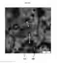 Fig. 07 - Bugphobic and icephobic compositions with fluid additives
