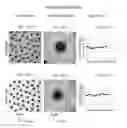Fig. 16 - Ink formulations and film constructions thereof