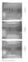 Fig. 08 - Filler composition indicating readiness to sand