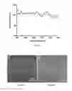Fig. 02 - Methods of preparing multilayered electrochromic systems