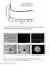 Fig. 09 - Coating with enhanced sliding properties