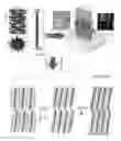 Fig. 01 - Phage-based matrix for inducing stem cell differentiation and method for preparing the same
