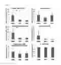 Fig. 08 - Phage-based matrix for inducing stem cell differentiation and method for preparing the same