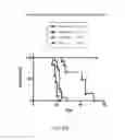 Fig. 07 - Chimeric alkaline phosphatase-like proteins