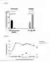 Fig. 04 - CONSTRUCT FOR EPIGENETIC MODIFICATION AND ITS USE IN THE SILENCING OF GENES