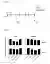 Fig. 07 - CONSTRUCT FOR EPIGENETIC MODIFICATION AND ITS USE IN THE SILENCING OF GENES