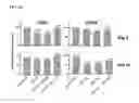 Fig. 08 - CONSTRUCT FOR EPIGENETIC MODIFICATION AND ITS USE IN THE SILENCING OF GENES