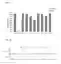 Fig. 12 - CONSTRUCT FOR EPIGENETIC MODIFICATION AND ITS USE IN THE SILENCING OF GENES